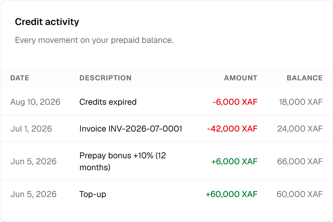 The credit activity table: a top-up, its prepay bonus, an invoice paid from the balance, and a line for expired credits, each with the running balance after it.