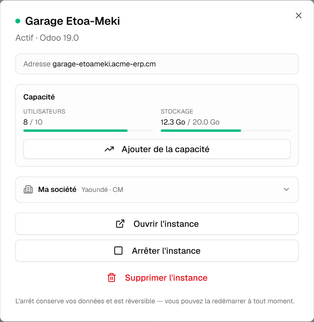 Une instance ouverte dans l'espace du client : son adresse, le panneau de capacité montrant utilisateurs et stockage face à ce que l'offre comprend, et les actions ouvrir, arrêter et supprimer en dessous.