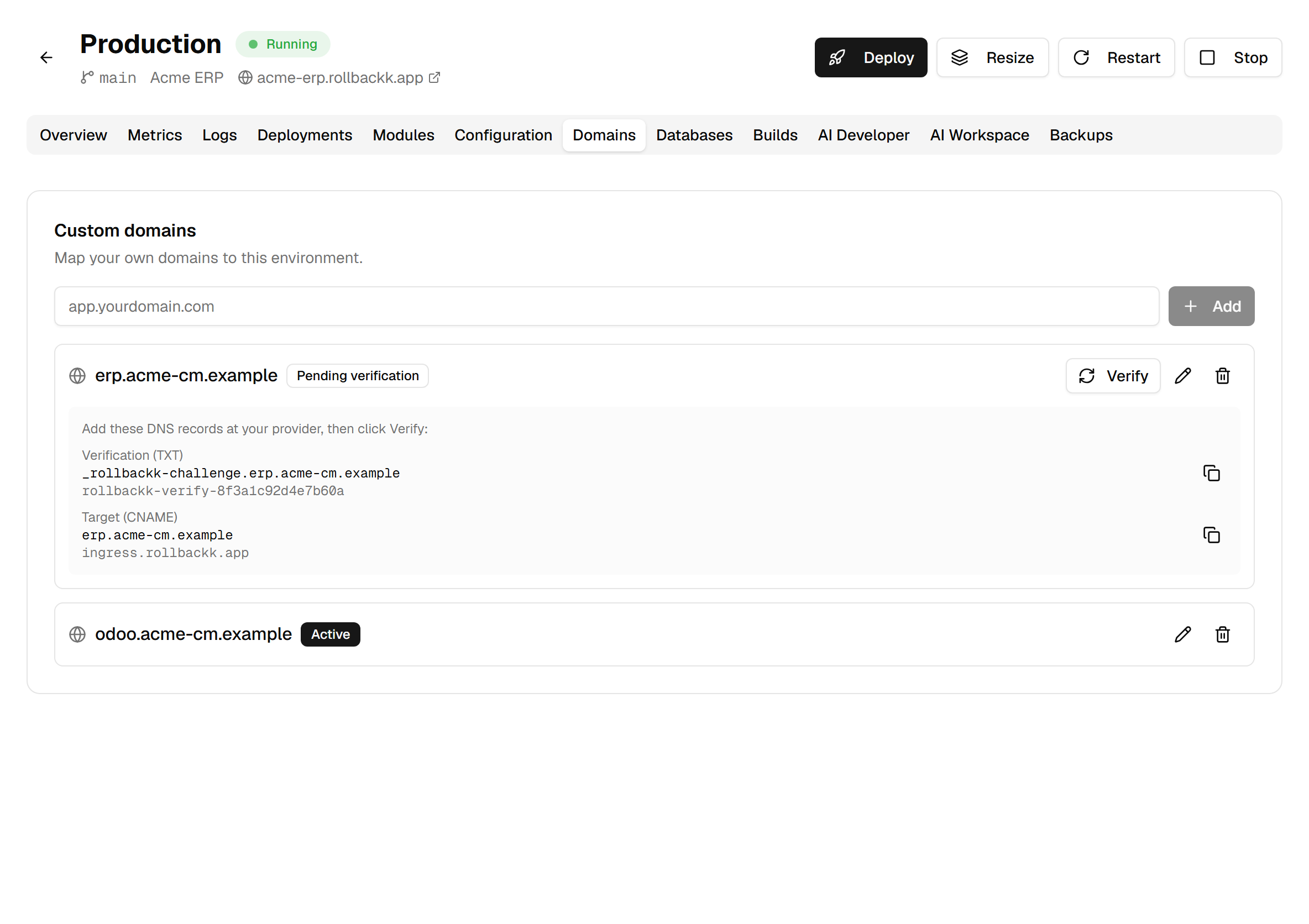 The Domains tab: erp.acme-cm.example at "Pending verification" with its two records — Verification (TXT) and Target (CNAME), each copyable — and below it odoo.acme-cm.example marked "Active".