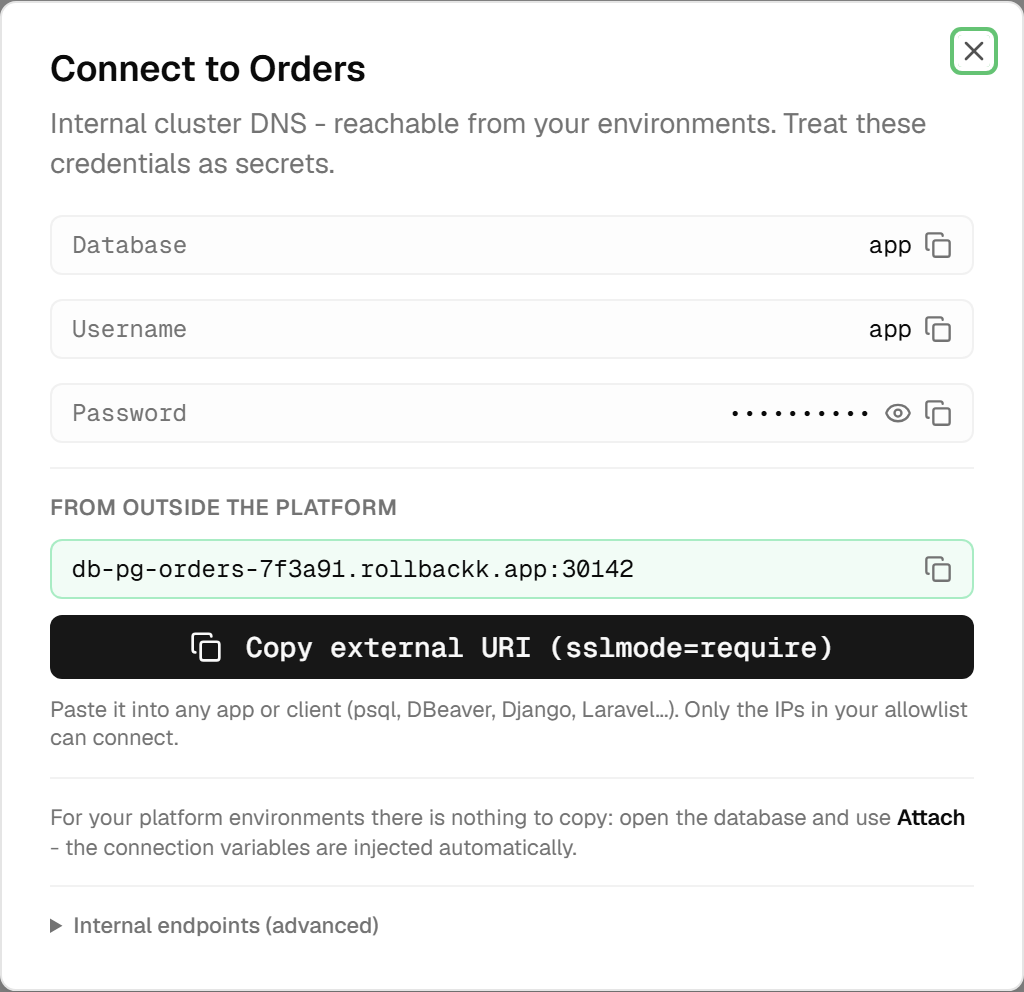 The connection dialog: the database name and username in copyable rows, the password masked behind an eye toggle, the external address, and a collapsed section for internal endpoints.