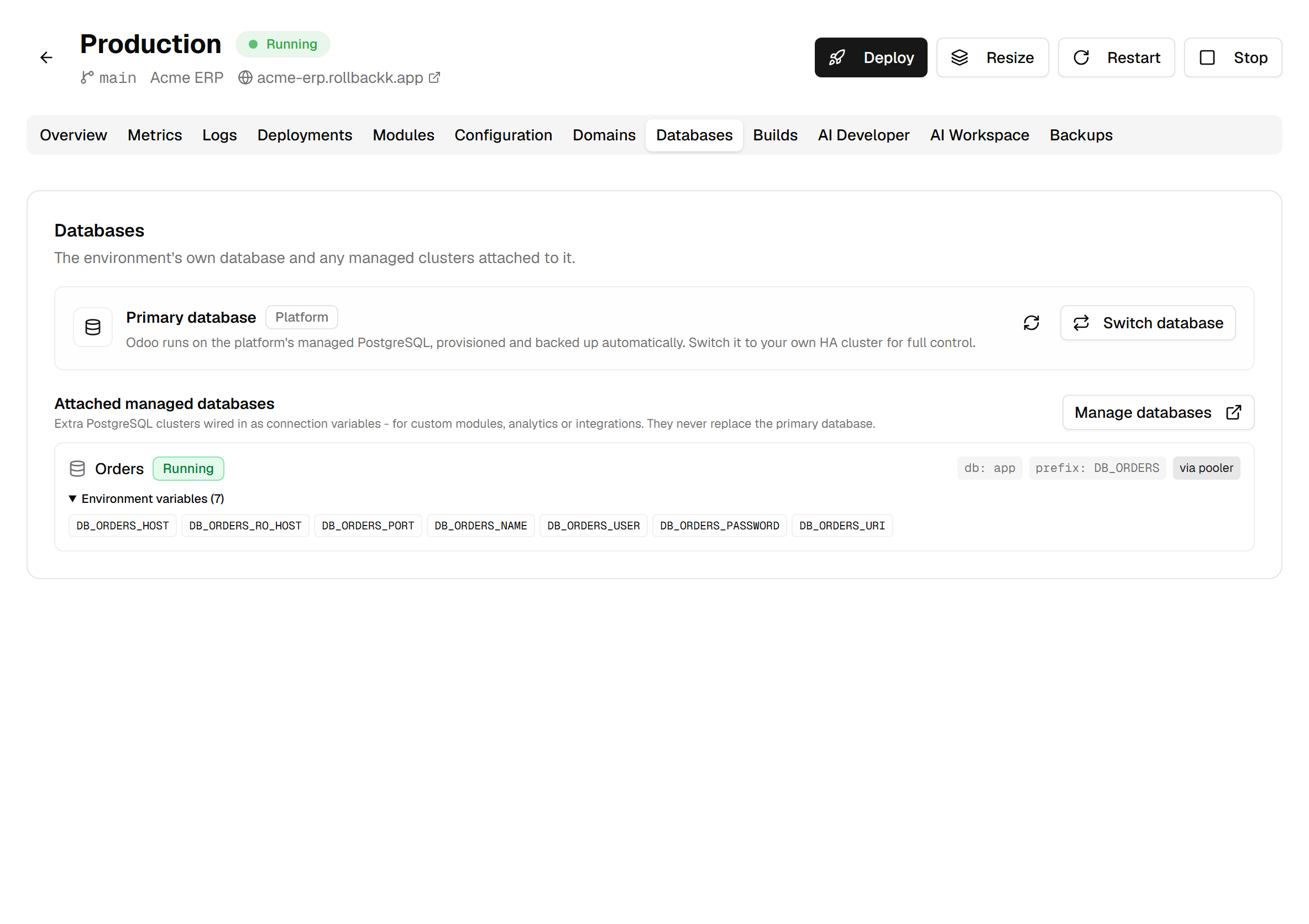 The environment's Databases tab: the primary database marked as running on the platform, and below it an attached managed cluster with its seven injected variable names expanded.